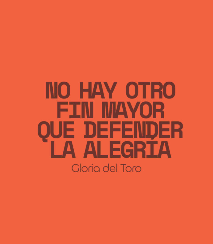 encuentros_gloria-del-toro2